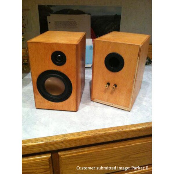 Main product image for Overnight Sensations MT Speaker Pair Kit 300-706